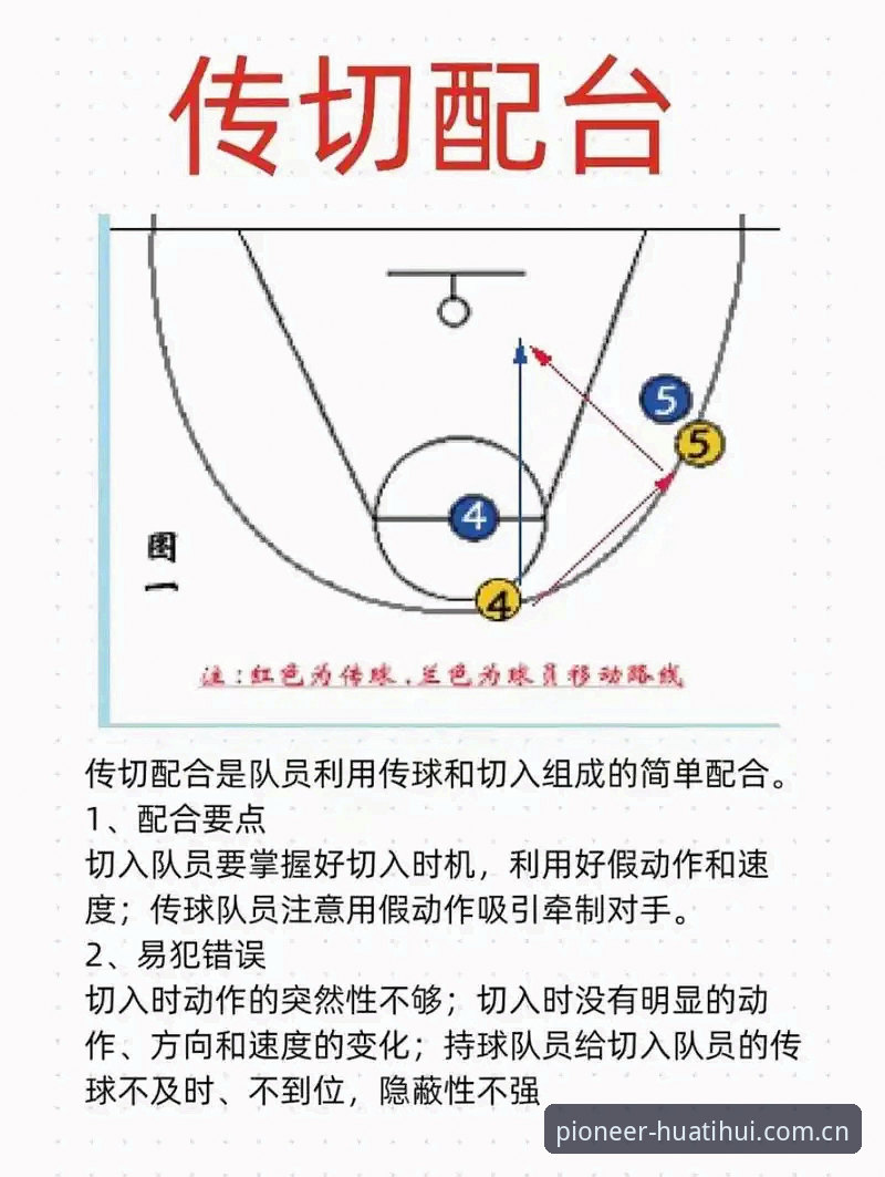 新手入门华体会体育，这些实战经验让你少走弯路